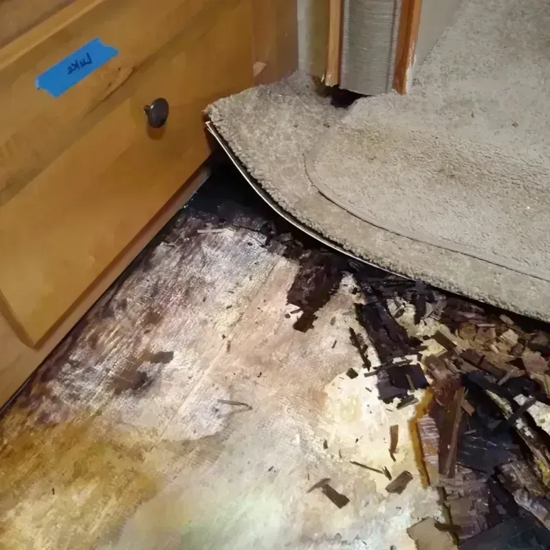 Best Wood Floor Water Damage Service in Augusta, ME